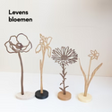 Levensbloemen