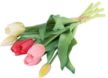 Bosje Tulpen - Rood/Wit/Roze