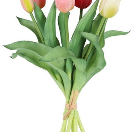 Bosje Tulpen - Rood/Wit/Roze