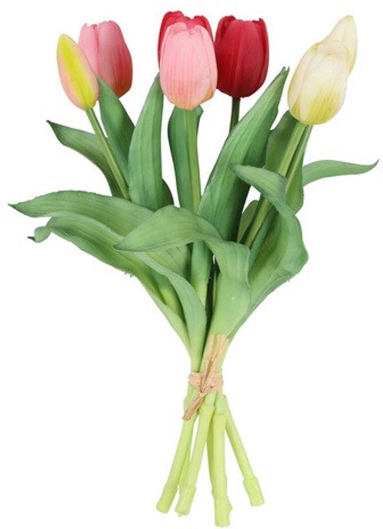 Bosje Tulpen - Rood/Wit/Roze