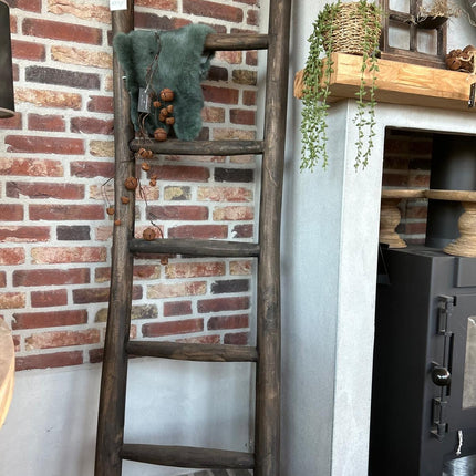 Houten Ladder 1
