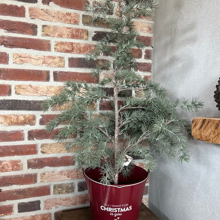 Blikken emmer compleet met boompje 3