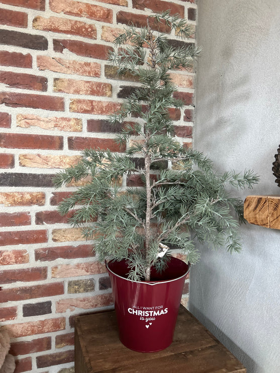 Blikken emmer compleet met boompje 3