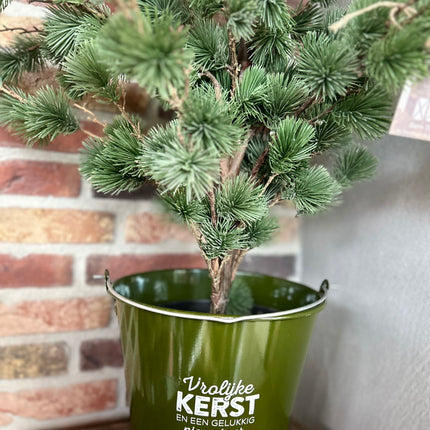 Blikken emmer compleet met cederboom 6