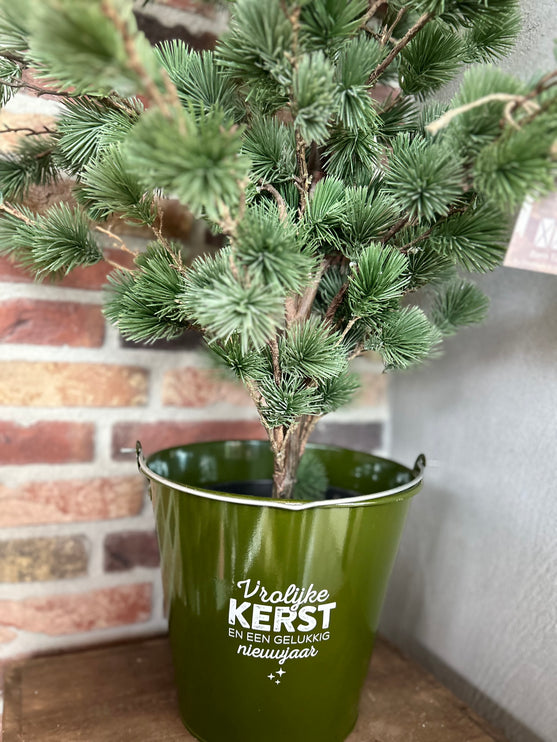 Blikken emmer compleet met cederboom 6