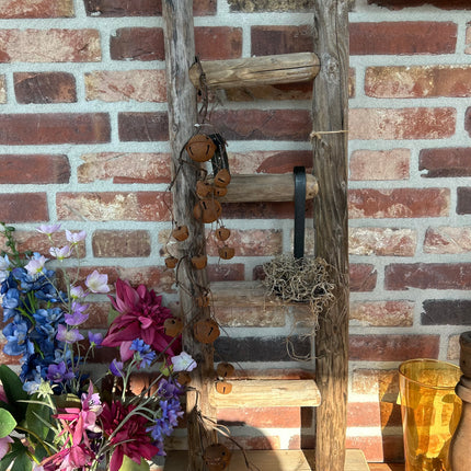 Ladder Staand