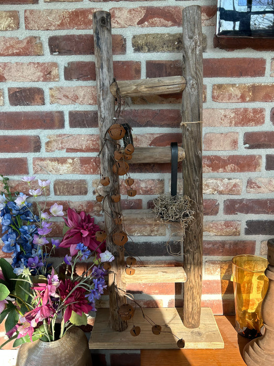 Ladder Staand