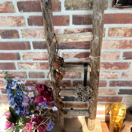 Ladder Staand