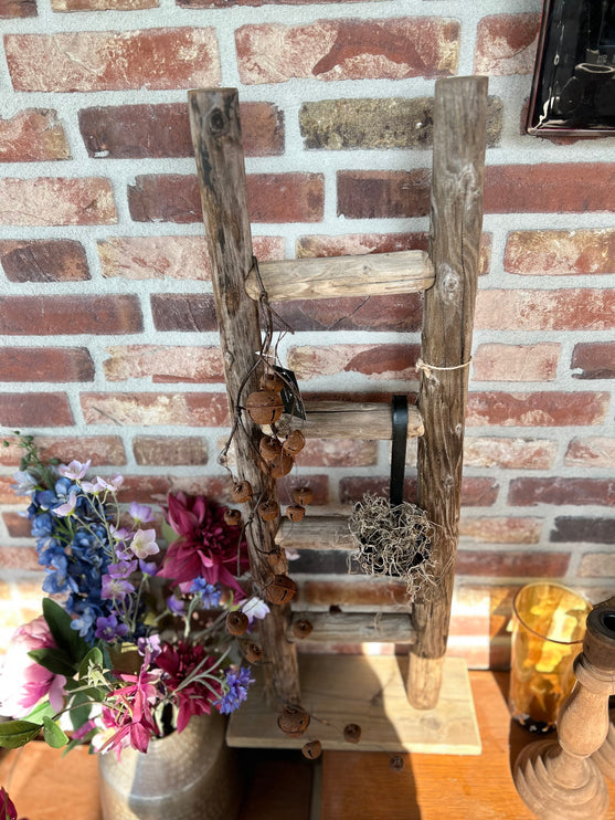 Ladder Staand