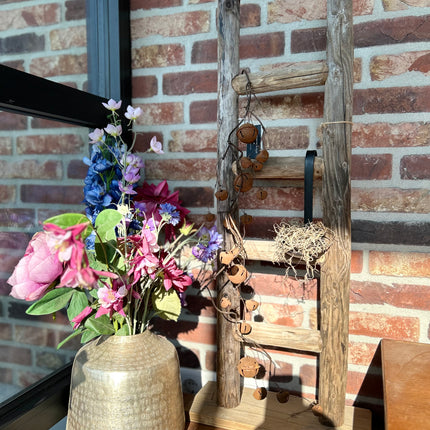 Ladder Staand