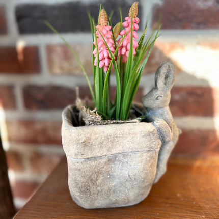 Bloempot vierkant vaas met Druifhyacint in jute - Muscari - Roze