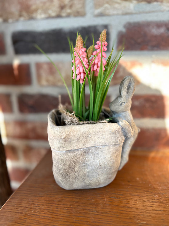 Bloempot vierkant vaas met Druifhyacint in jute - Muscari - Roze
