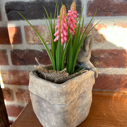 Bloempot vierkant vaas met Druifhyacint in jute - Muscari - Roze
