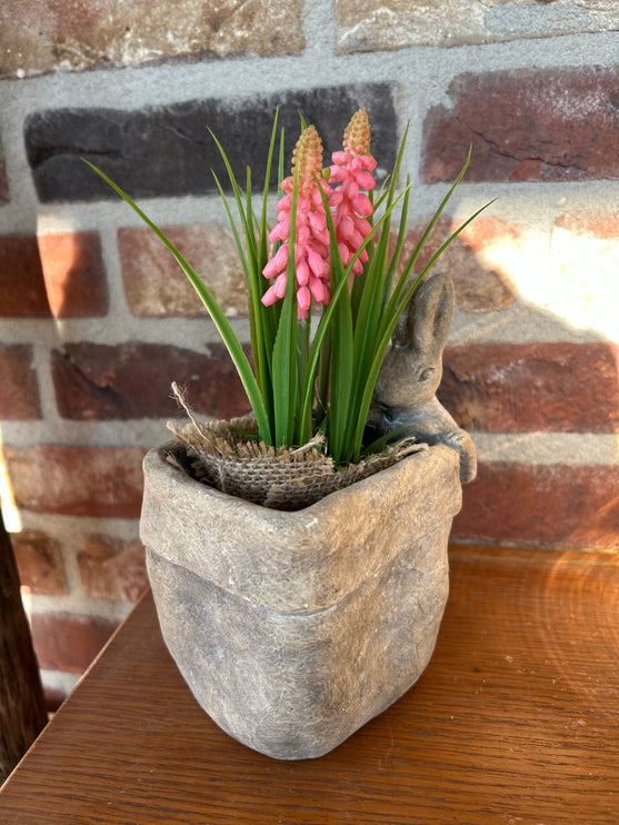 Bloempot vierkant vaas met Druifhyacint in jute - Muscari - Roze