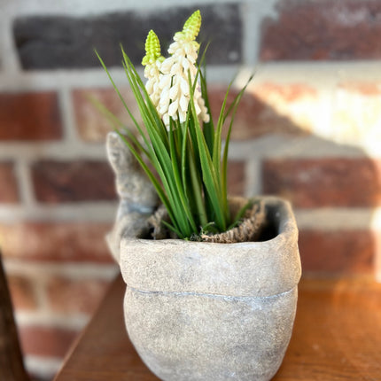 Bloempot vierkant vaas met Druifhyacint in jute - Muscari - Wit