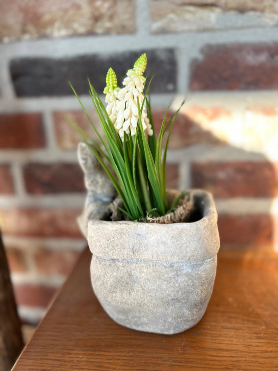 Bloempot vierkant vaas met Druifhyacint in jute - Muscari - Wit