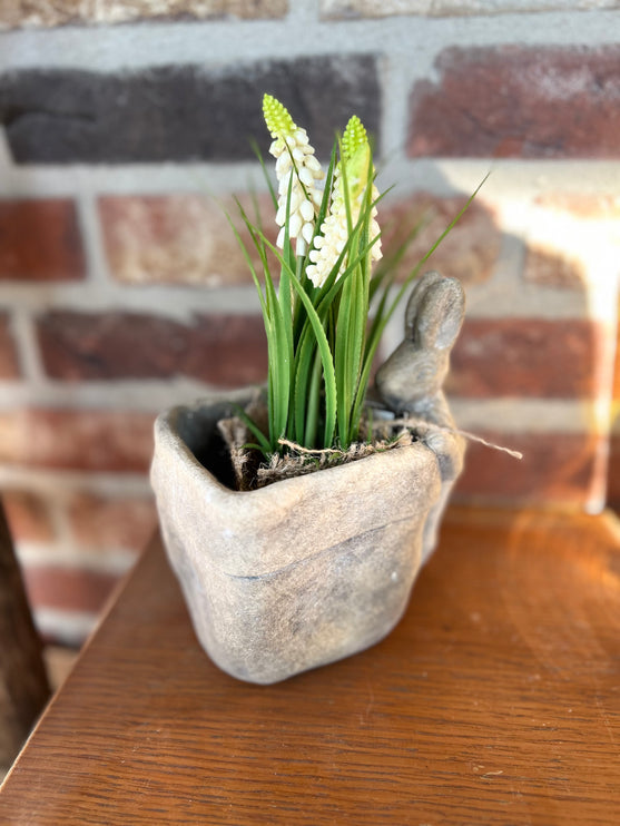 Bloempot vierkant vaas met Druifhyacint in jute - Muscari - Wit