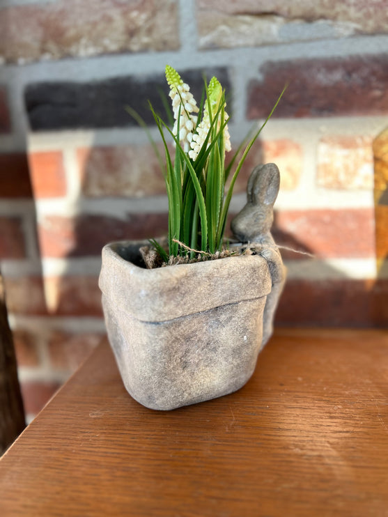 Bloempot vierkant vaas met Druifhyacint in jute - Muscari - Wit