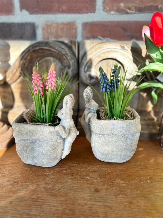 Bloempot vierkant vaas met Druifhyacint in jute - Muscari - Blauw
