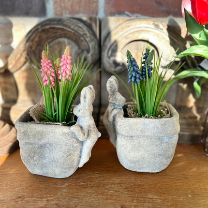 Bloempot vierkant vaas met Druifhyacint in jute - Muscari - Roze
