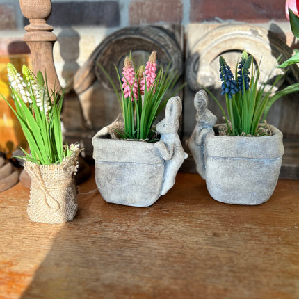 Bloempot vierkant vaas met Druifhyacint in jute - Muscari - Blauw