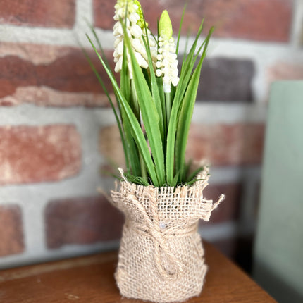 Druifhyacint/Muscari in jute - wit