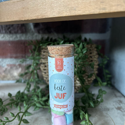 Glazen Buisje met Marshmellows-voor de beste juf