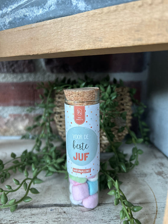 Glazen Buisje met Marshmellows-voor de beste juf