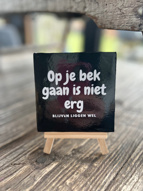 Tegeltje Op je bek gaan is niet erg