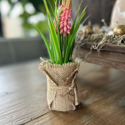 Druifhyacint/Muscari in jute - roze
