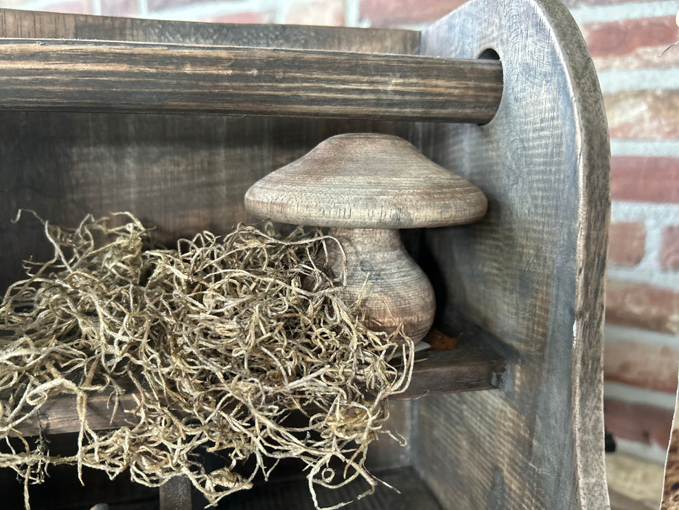 Houten Paddenstoel S