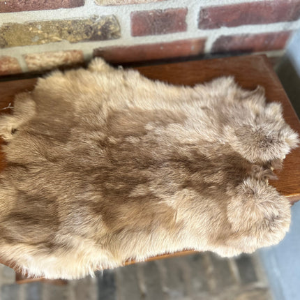 vachtje Bruin