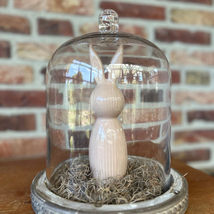 Glazen stolp met Haasje bruin-taupe en Tillandsia