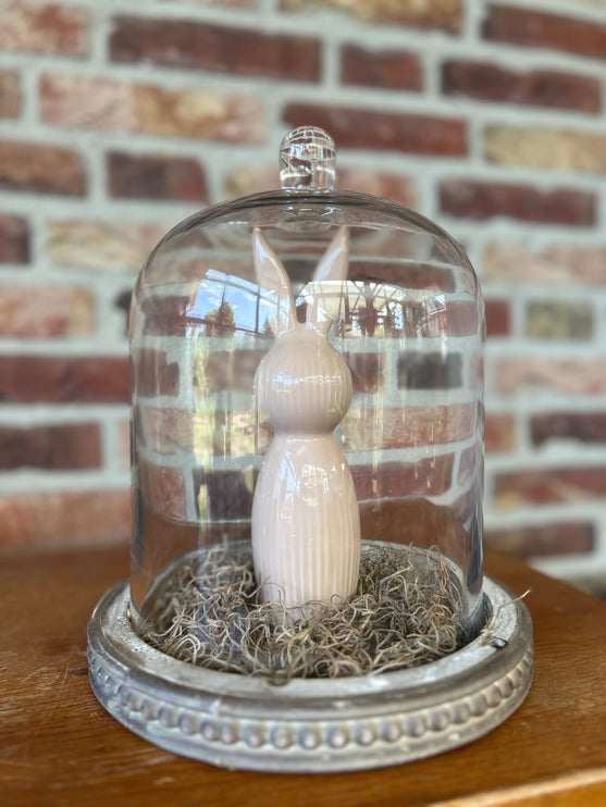 Glazen stolp met Haasje bruin-taupe en Tillandsia