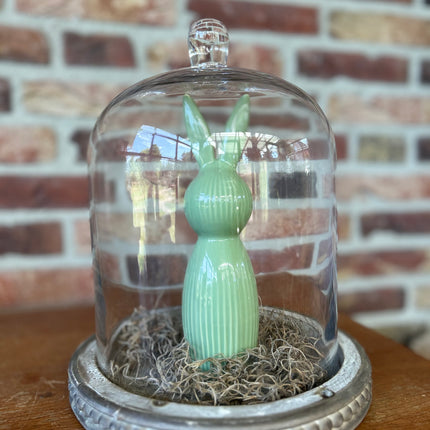 Glazen stolp met Grijsgroen haasje en Tillandsia