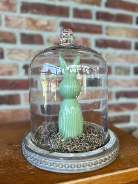 Glazen stolp met Grijsgroen haasje en Tillandsia