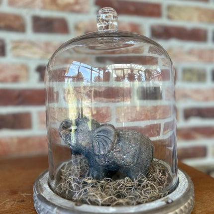 Glazen stolp met Stenen Olifantje en Tillandsia