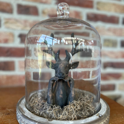Glazen stolp met stenen Hertje en Tillandsia