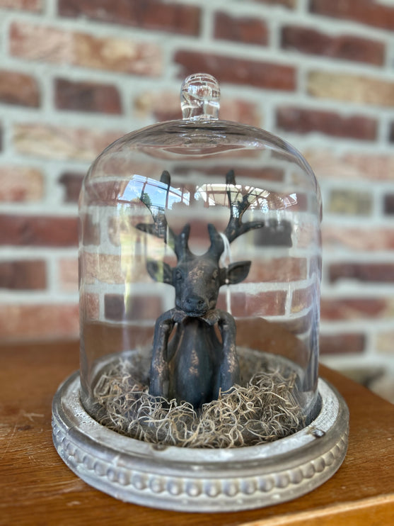Glazen stolp met stenen Hertje en Tillandsia