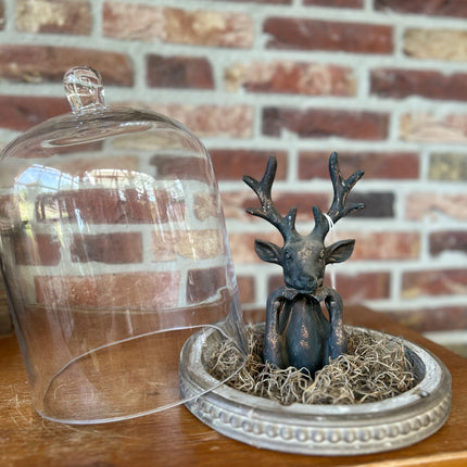 Glazen stolp met stenen Hertje en Tillandsia