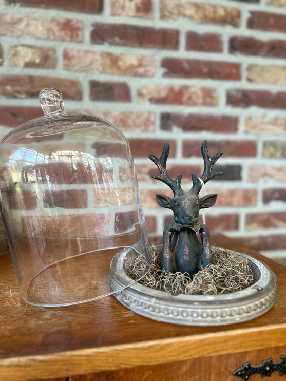 Glazen stolp met stenen Hertje en Tillandsia