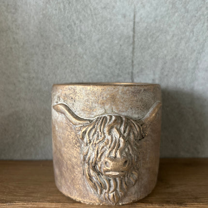 Gouden Waxinehouder hooglander