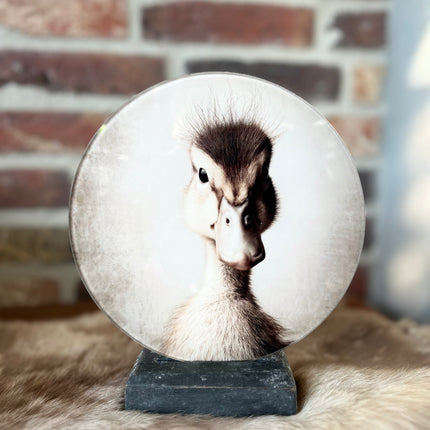 Glasplaatje Brocante Eend