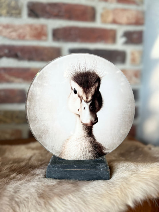 Glasplaatje Brocante Eend