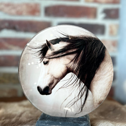 Glasplaatje Paard Brocante