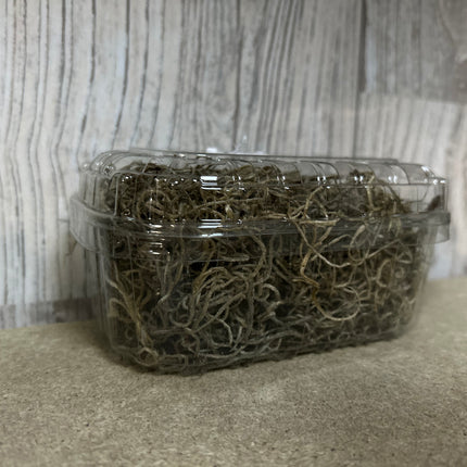 Tillandsia Tilandsia mos in bakje