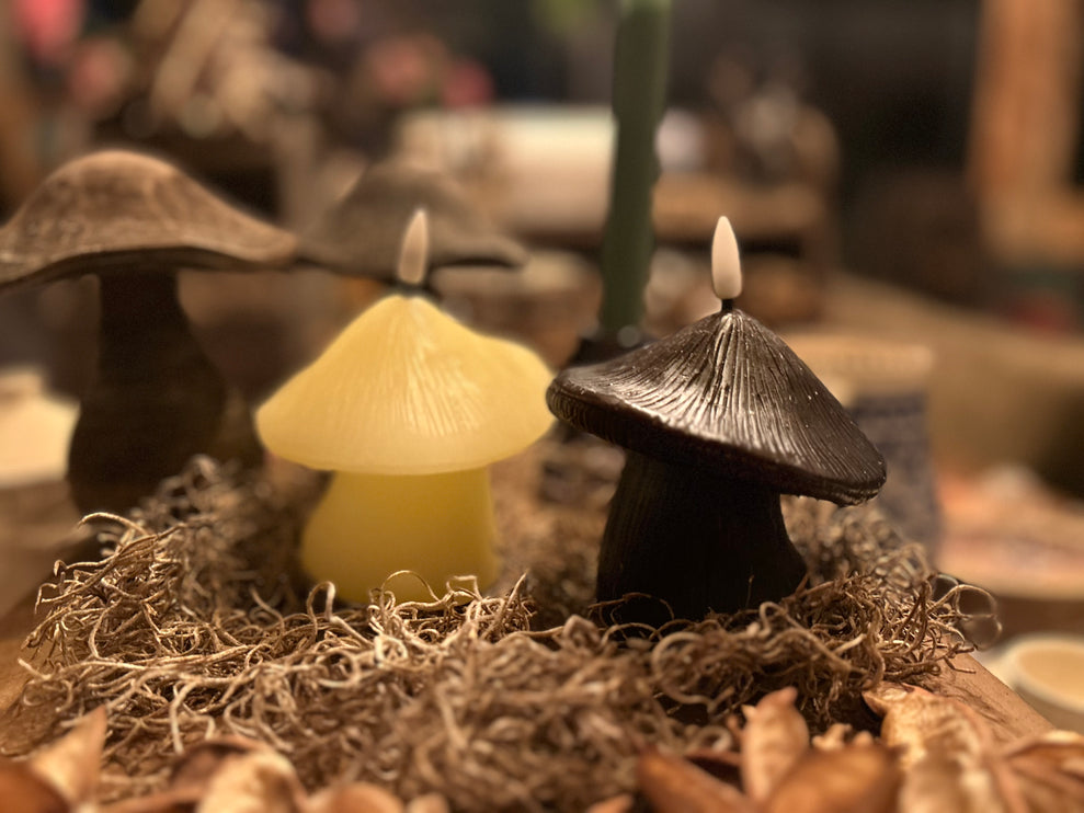 Paddenstoel kaars Led Wit/Creme of Zwart