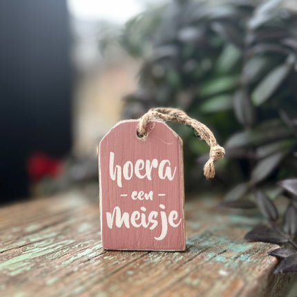 hanger label mini 6x4cm hoera een meisje baby roze