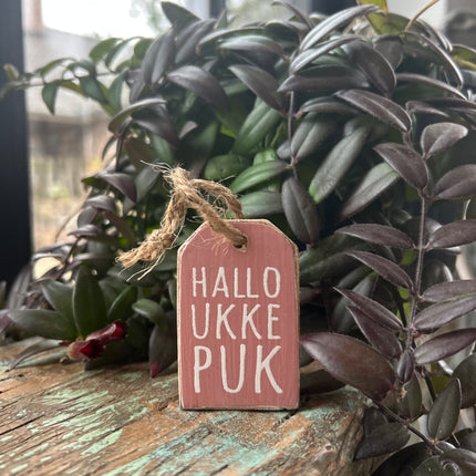 hanger label mini 6x4cm hallo ukkepuk baby roze