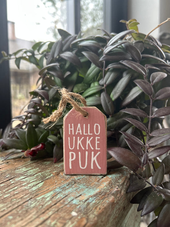 hanger label mini 6x4cm hallo ukkepuk baby roze